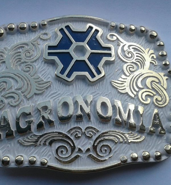 thumbnail_20180206_153521